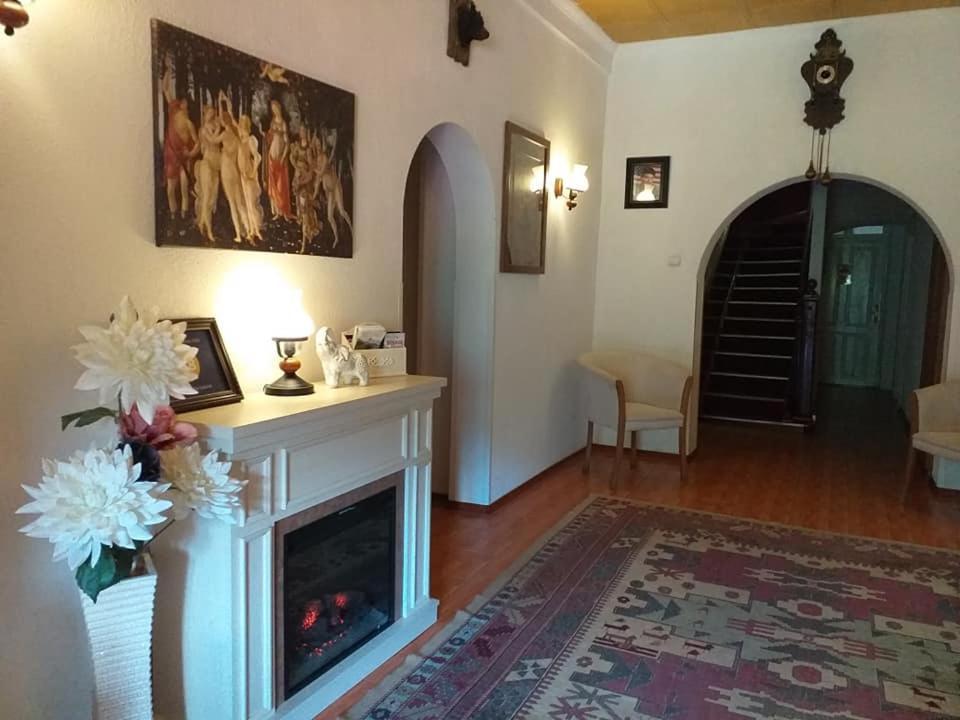 Gabriel Guest house Sinaia