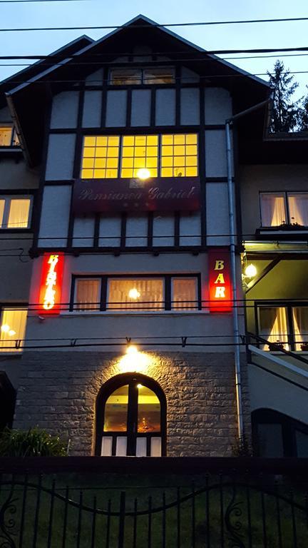 Guest house Gabriel 2*
