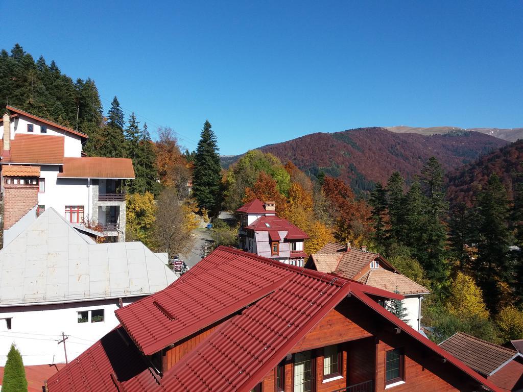 Guest house Gabriel 2*