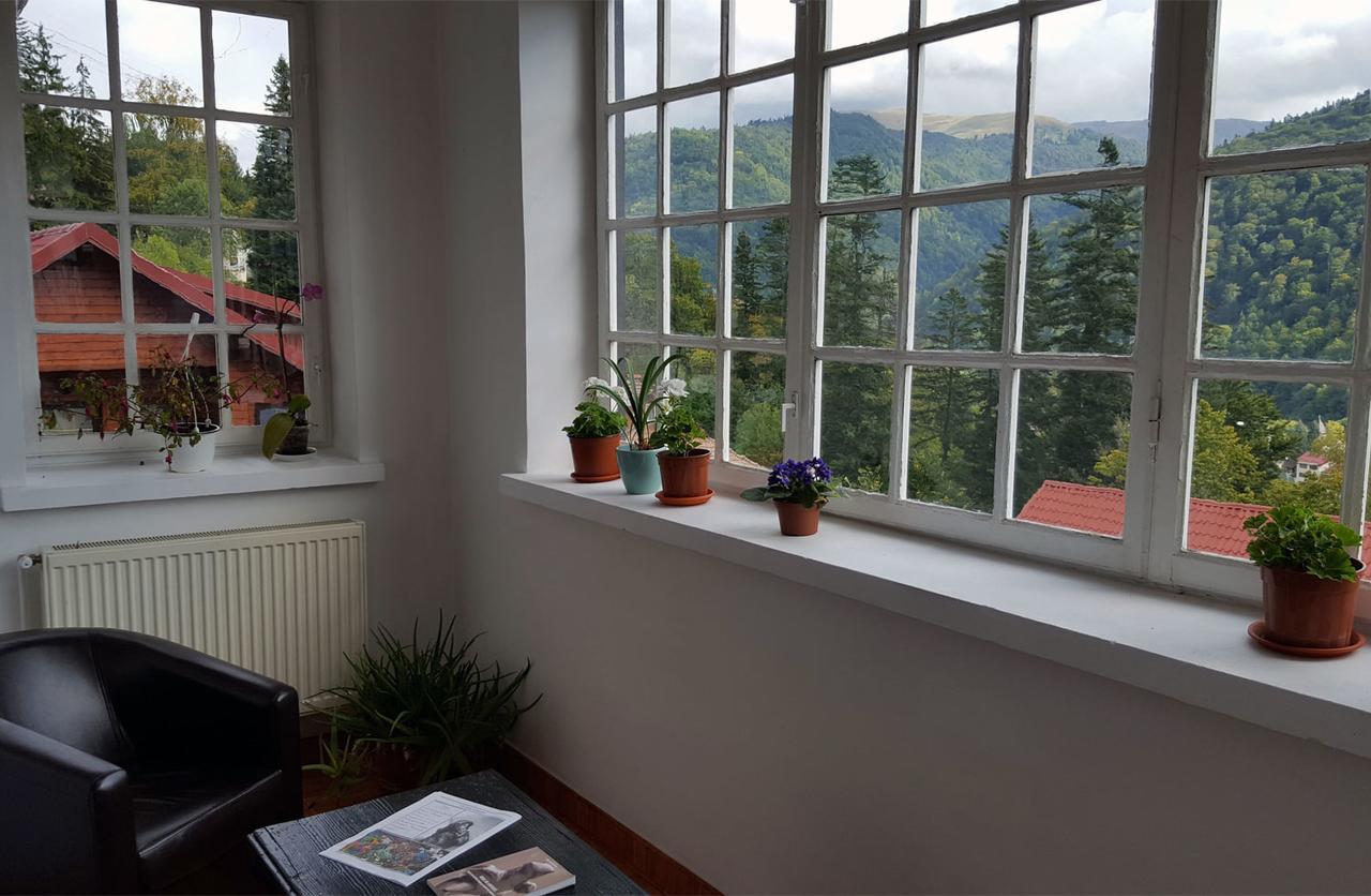 Guest house Gabriel Sinaia